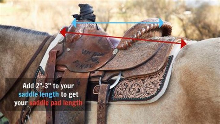 Can a saddle pad be too long?