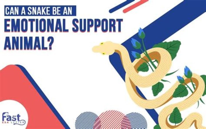 Can a snake be an emotional support animal?