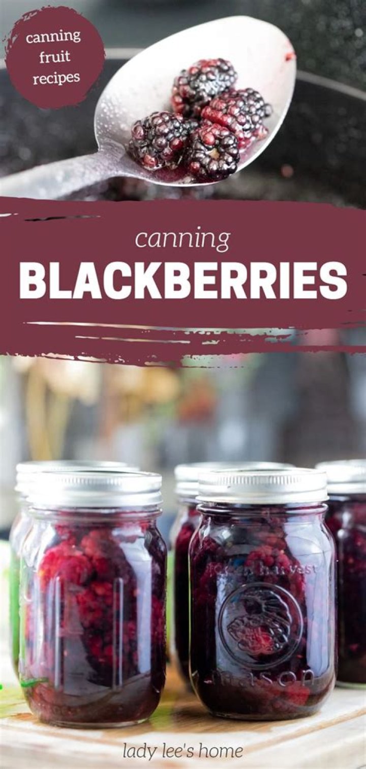Can blackberries lighten skin?