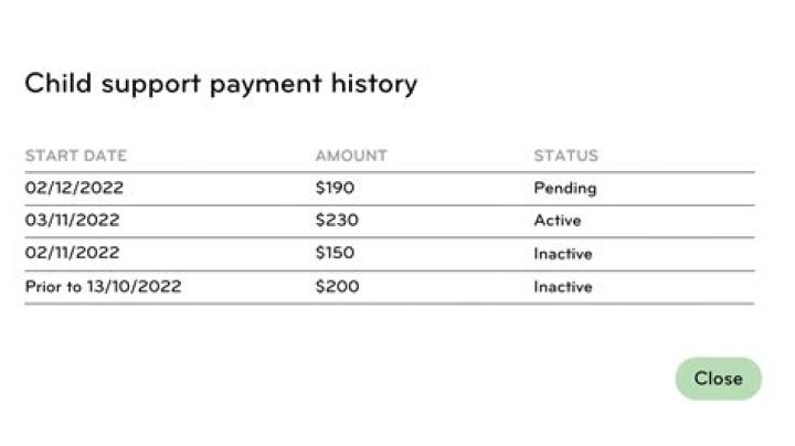 Can you make payments on back child support?