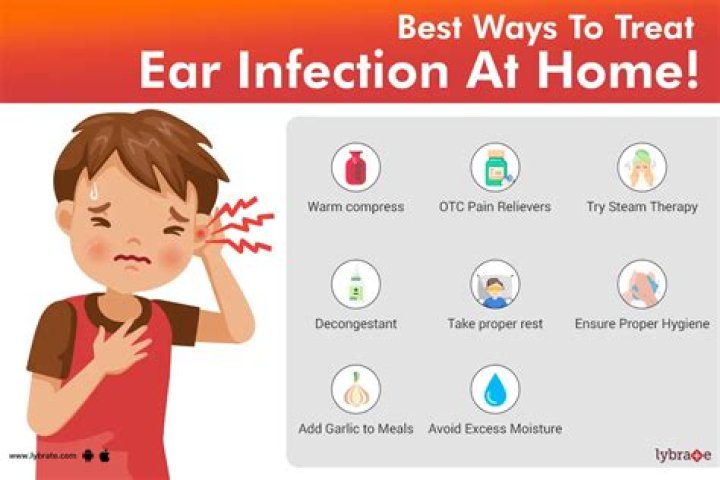 Do cropped ears prevent infection?