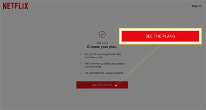 Do Netflix employees get Netflix for free?