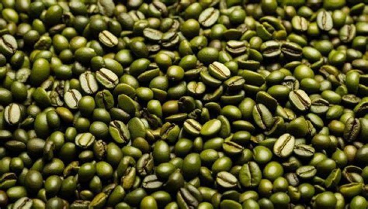 How can you tell the quality of green coffee beans?
