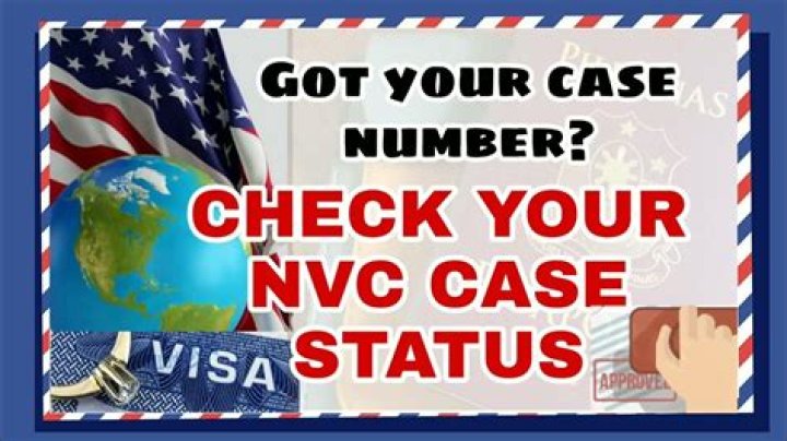 How do I check VNC status?