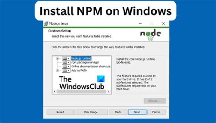 How do I stop NPM local server?