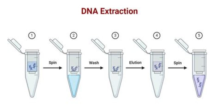How do you extract tungsten?
