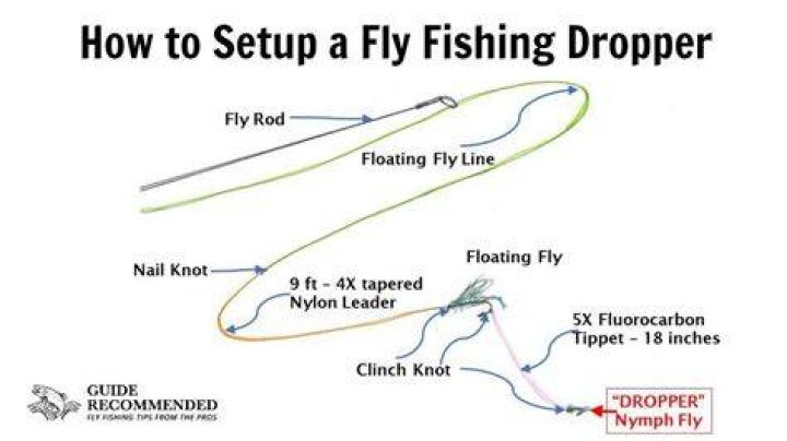 How do you fly fish for stocked trout?