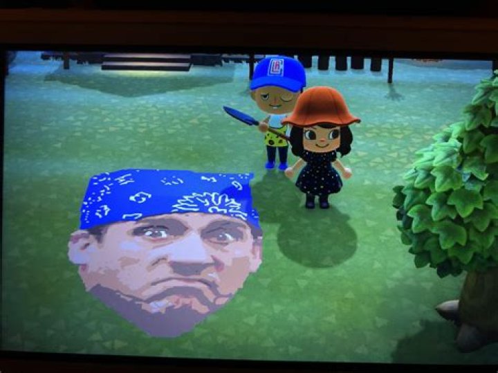How do you get paintings in Animal Crossing?
