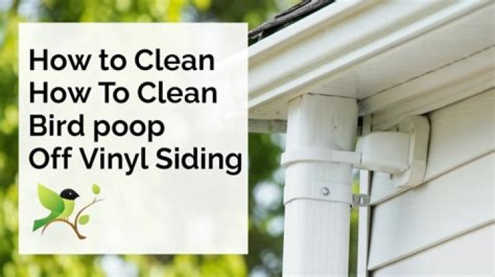 How do you remove bird poop from vinyl siding?