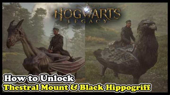 How do you unlock the stranger items?