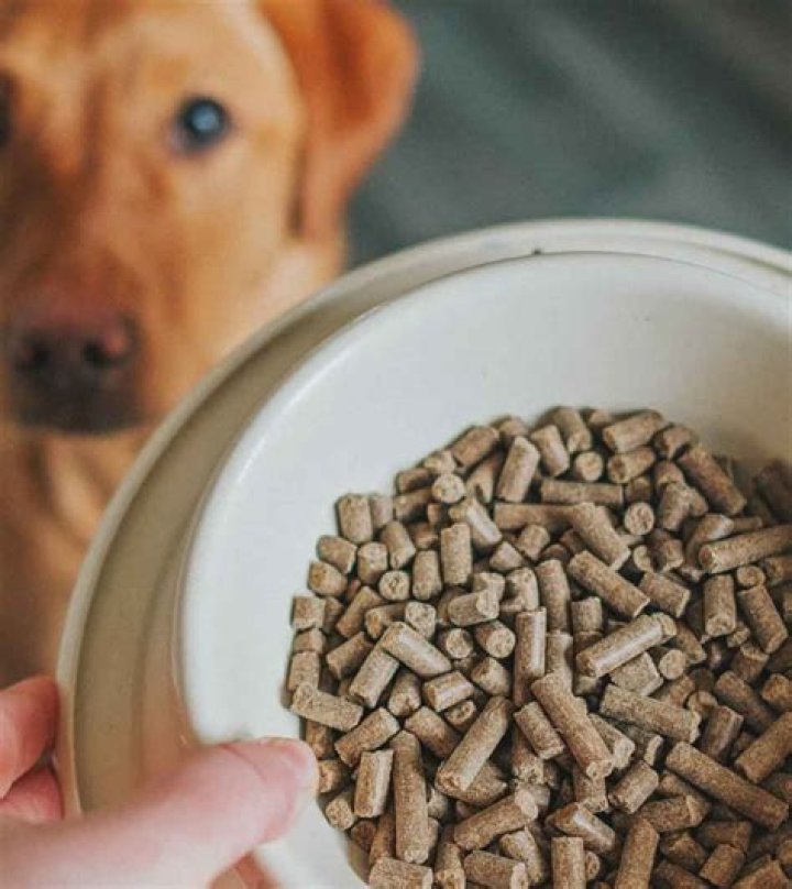 How long do you have to soften puppy food?