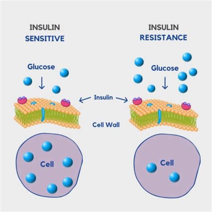 How long does it take to reverse insulin resistance with fasting?