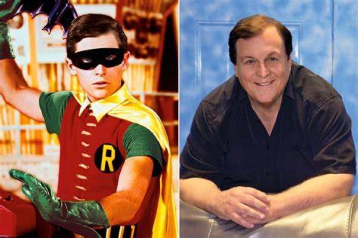 How many dogs does Burt Ward have?