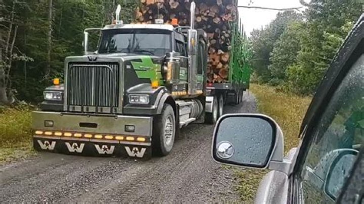 How much does a logging truck cost?