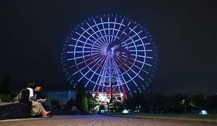 How tall is the Ferris wheel in Tokyo?