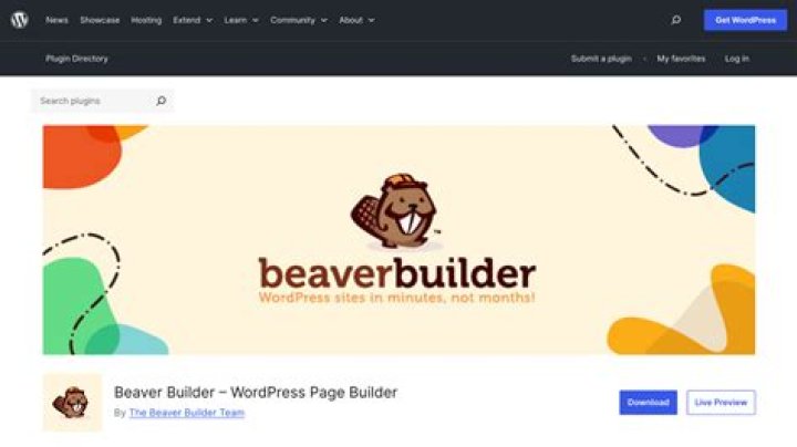 Is Beaver Builder slow?