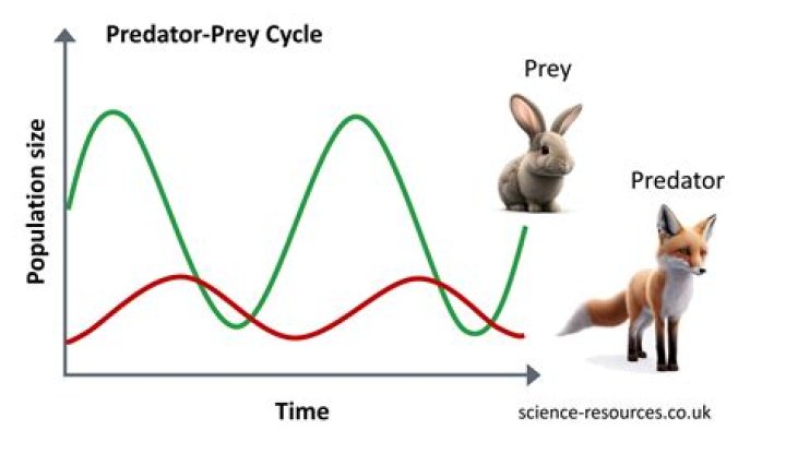 Is predation positive or negative?
