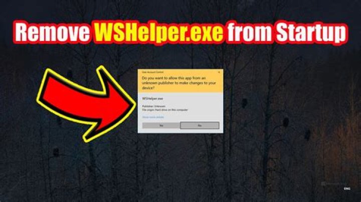 Is WSHelper exe a virus?