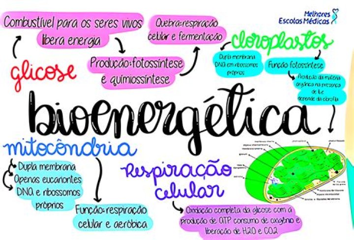 Qual o conceito de Bioenergetica?