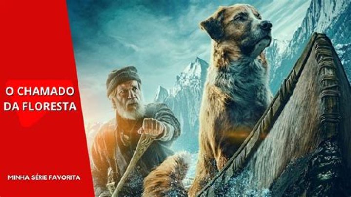 Tem o chamado da floresta na Netflix?
