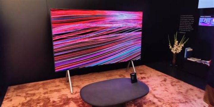 Was ist der kleinste OLED-Fernseher?