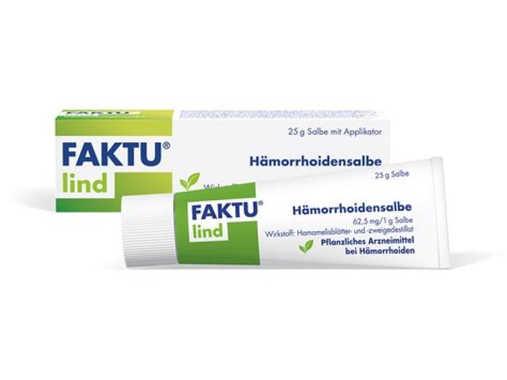 Was kostet Faktu Lind?