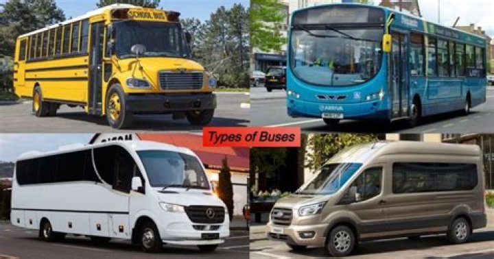 What are buses called in Mexico?