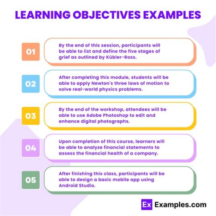 What are the objectives of NSE?