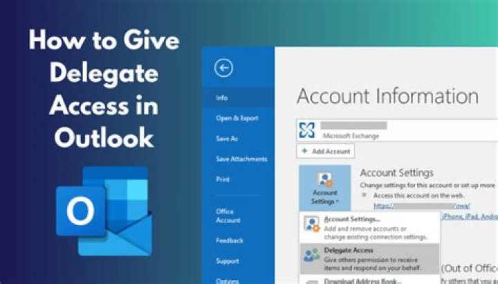 What can an outlook delegate do?