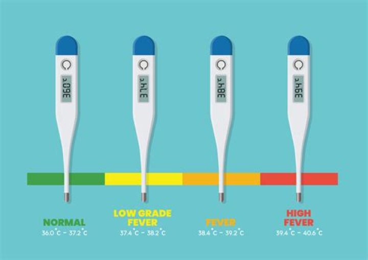 What does a low grade body temperature mean?