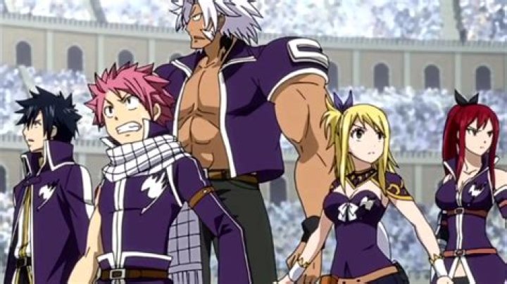 What does fairy tail ova mean?