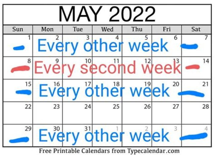 What does week on week mean?
