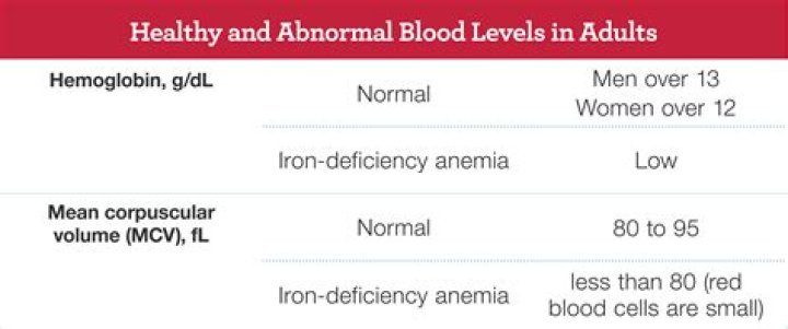 What is normal iron level for female?