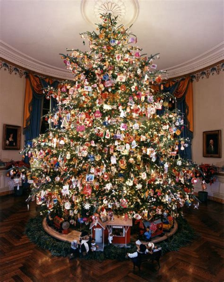 What is the best Christmas tree in the world?