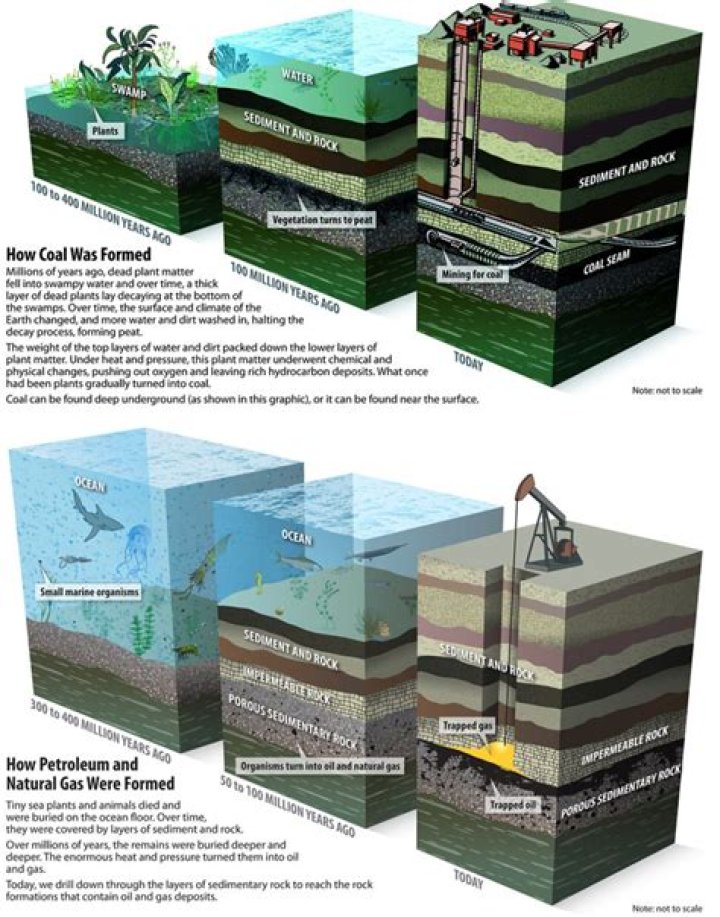 What is the difference between coal petroleum and natural gas?
