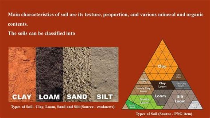 What is the difference between dust and lint?