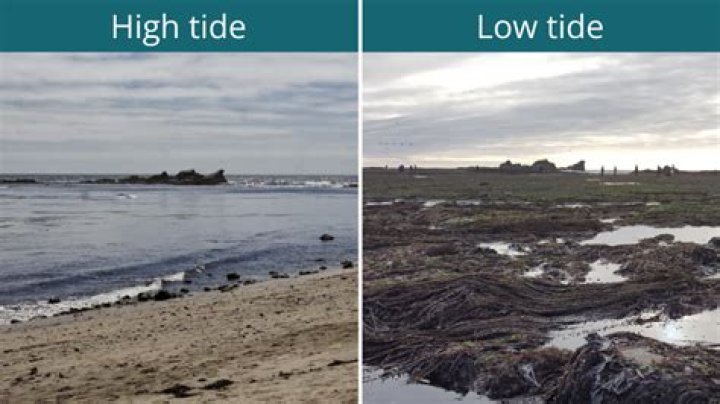 What is the meaning of high tide?