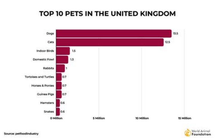 What is the most popular pet in the UK?