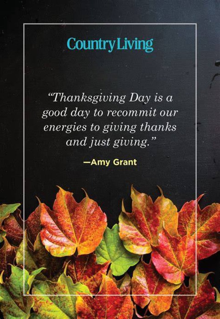 What is the nickname for the day after Thanksgiving?
