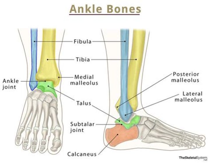 What is the side of your ankle called?