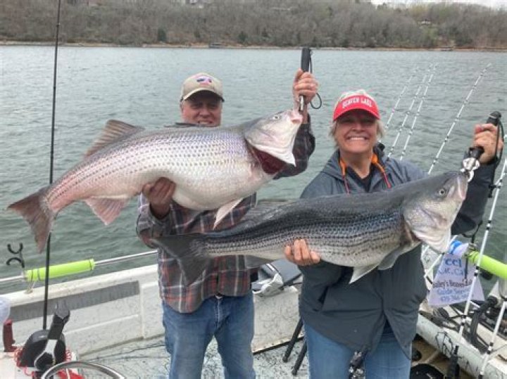 What kind of fish are in Beaver Lake BC?