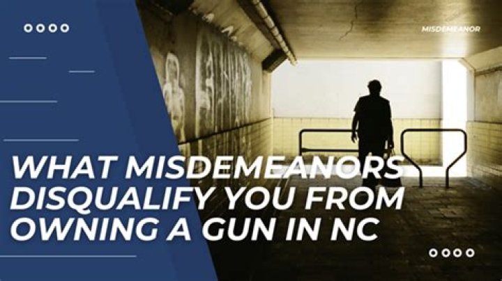What misdemeanors disqualify you from owning a gun?