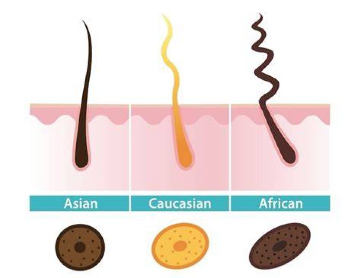 What Race Has Strongest hair?