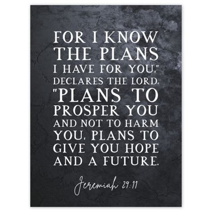 What Scripture says God has a plan for you?