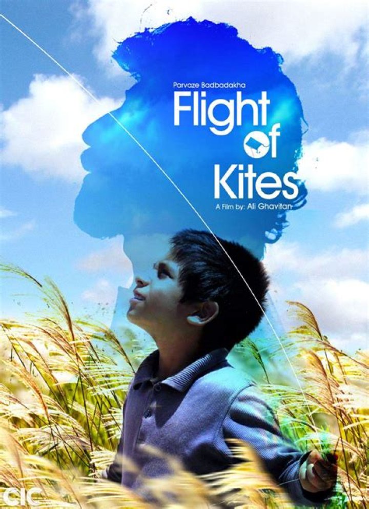When was Kites movie released?