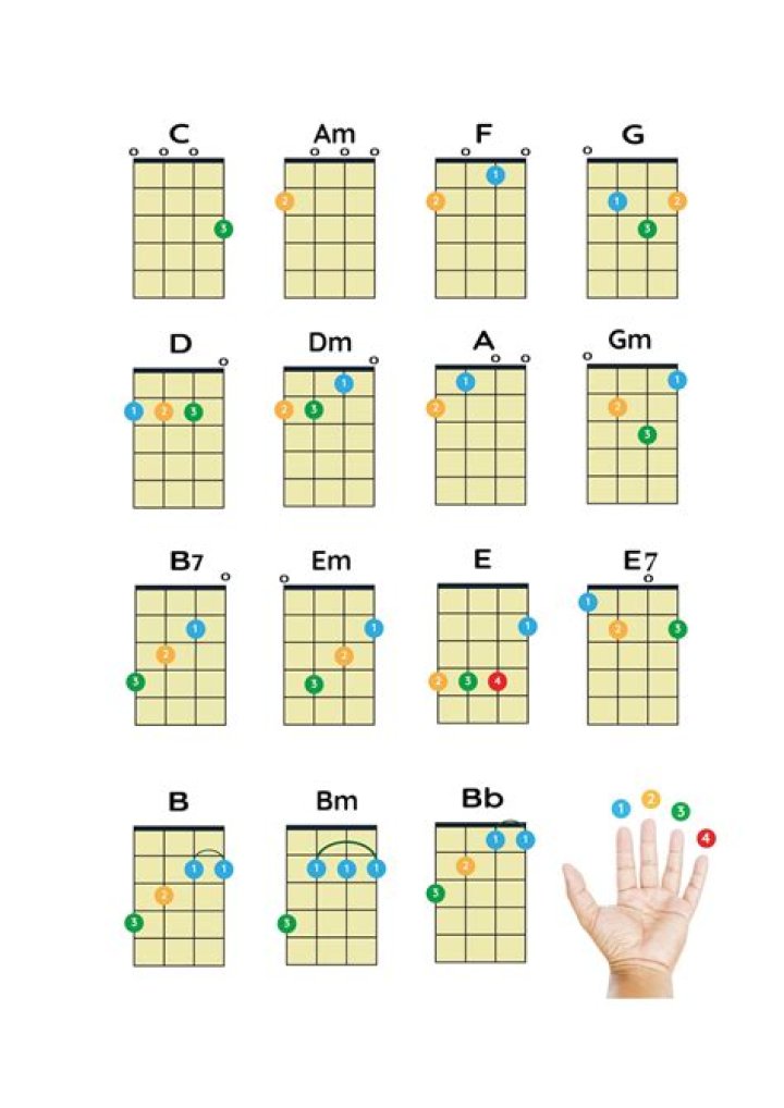 Where are the chords on a ukulele?