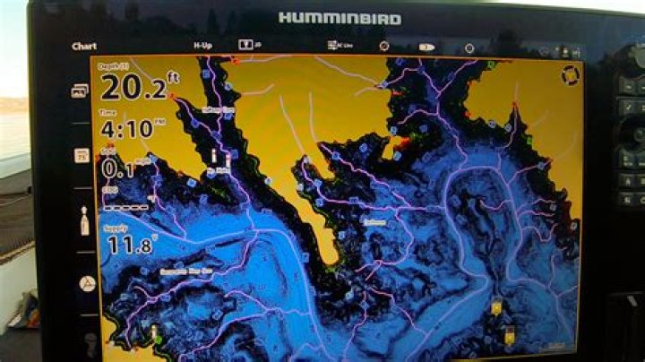 Where do fish go in the fall?