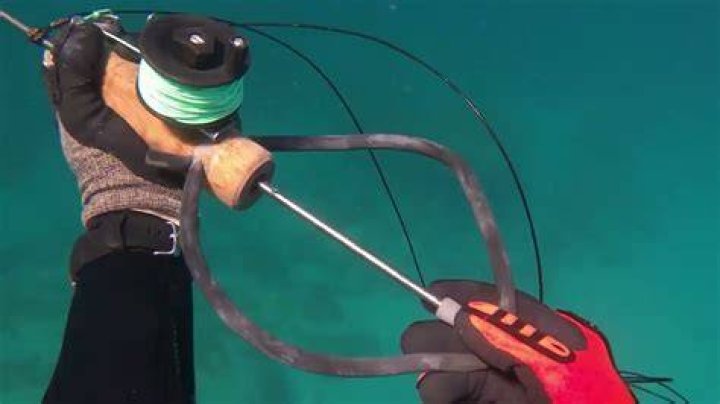 Where is spearfishing illegal?