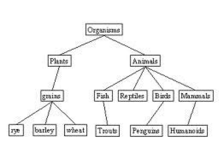 Which feature is present in all living things quizlet?