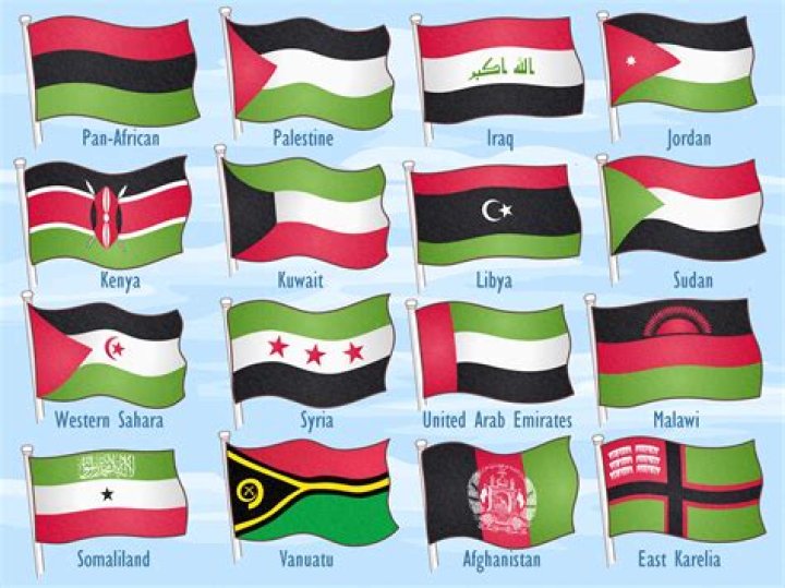 Who created the red black and green flag?